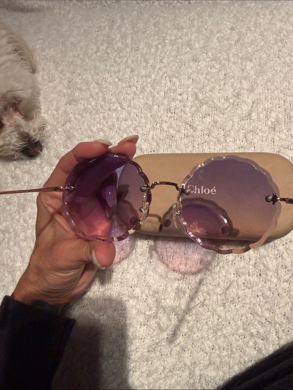 Chloe Purple to Pink Gradient scalloped Sunglasses - Picture 5 of 11